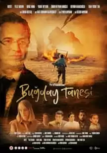 Buğday Tanesi