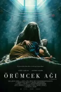 Örümcek Ağı 