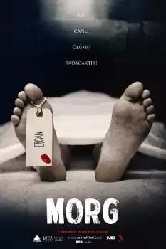 Morg
