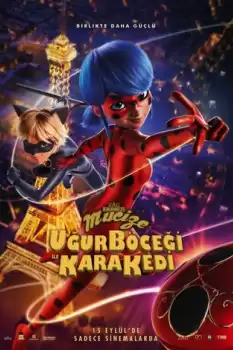 Mucize Uğur Böceği ile Kara Kedi