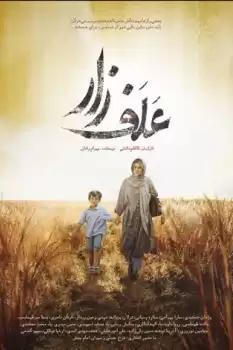 Mahkeme