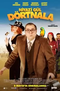  Niyazi Gül Dörtnala