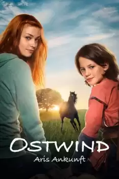 Windstorm 4 Ari'nin Gelişi