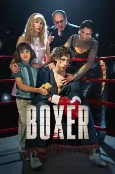  Boksör