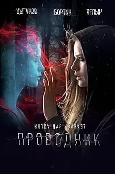 Provodnik