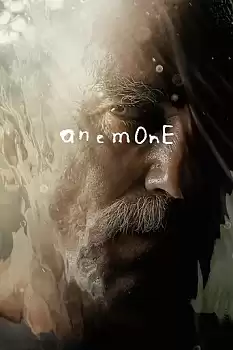 Anemone