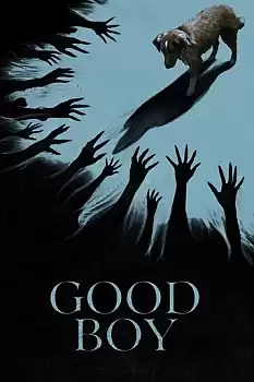 Good Boy