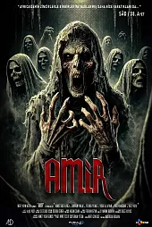 Amir