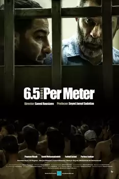6.5 Metre