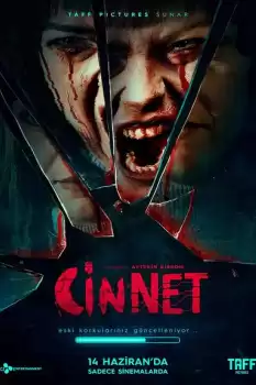 Cinnet
