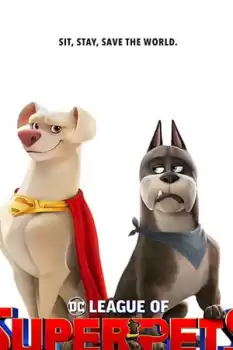 DC Süper Evciller Takımı