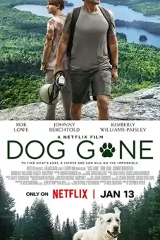Kayıp Köpek