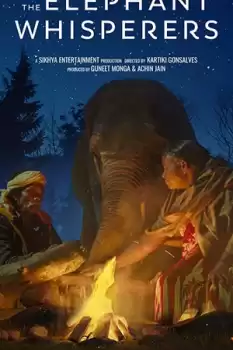 Filler Aşkına
