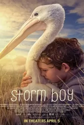 Fırtına Çocuk izle