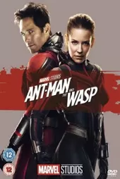 Karınca Adam ve Eşek Arısı