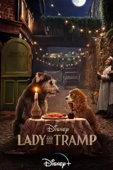 Leydi ile Sokak Köpeği