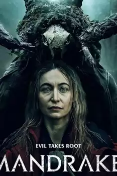 Mandrake
