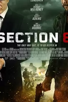 Section 8