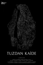 Tuzdan Kaide