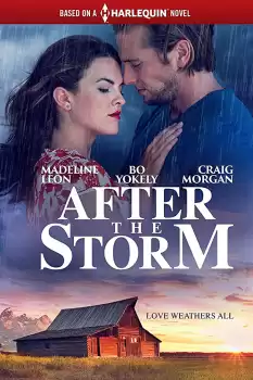 After the Storm izle