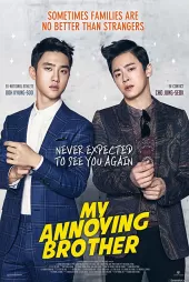 My Annoying Brother 