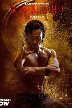 Baaghi izle