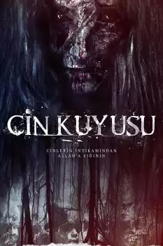 Cin Kuyusu