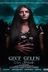 Gece Gelen Cin Bebek izle