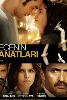 Gecenin Kanatları 