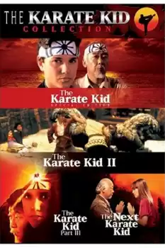 Karateci Çocuk 2 izle
