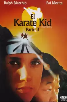 Karateci Çocuk 3 izle