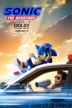 Kirpi Sonic