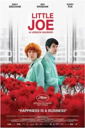 Küçük Joe izle