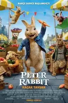 Peter Rabbit Kaçak Tavşan 2