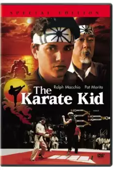 Karateci Çocuk 1 izle